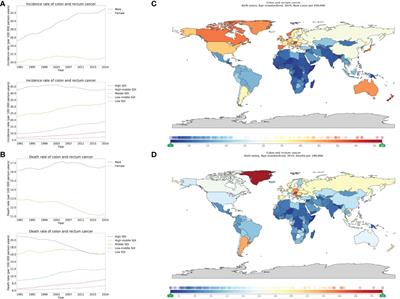 Global burden of major gastrointestinal cancers and its association with socioeconomics, 1990–2019